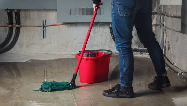 Best Water damage restoration process  in Ashburn, VA