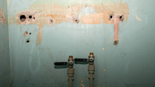 Best Flooded house restoration  in Ashburn, VA