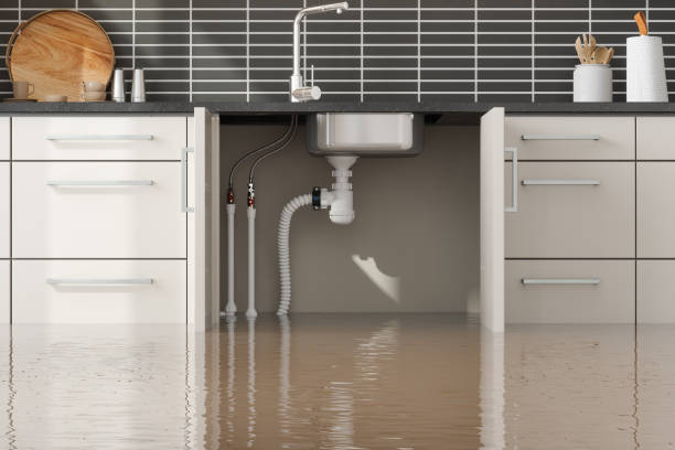 Best Basement water damage restoration  in Ashburn, VA