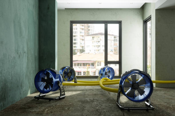 Best Carpet water damage restoration  in Ashburn, VA